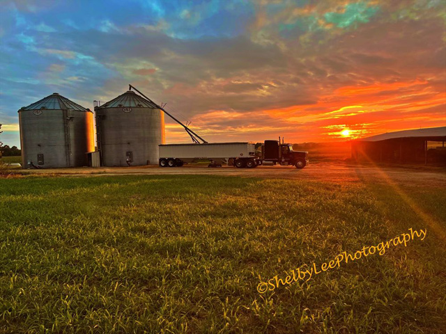 Mississippi Harvest &#039;21, by Shelby Mason, won First Place in the Popular Vote category of this year&#039;s MyHarvest21 photo contest held by DTN. More than 40 beautiful images were entered during the fast-paced 2021 harvest season. (Photo by Shelby Mason)