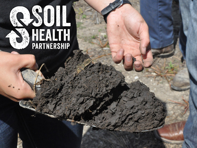 The Soil Health Partnership, created by the National Corn Growers Association in 2014, grew to work on 200 farmers in 16 states over its seven-year program. SHP was effective because it worked directly with farm operations to test the benefits to the soil and to farmers financially. The program is shutting down because of financial challenges. (DTN image)