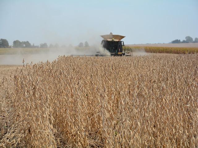 A farmer harvesting soybeans off a field in 2021. A federal judge last week sentenced a Nebraska farmer to pay $1 million in restitution for filing false crop insurance claims on his soybeans and corn crops in 2015. (DTN photo by Matthew Wilde)