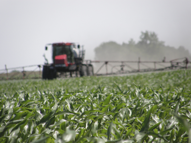 Bayer is developing a corn technology that would tolerate in-season applications of five herbicides -- dicamba, 2,4-D, glufosinate, glyphosate and quizalofop. USDA is currently reviewing its potential environmental impact. (DTN photo by Greg Horstmeier)