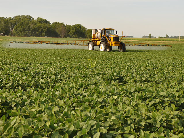 The Arkansas Supreme Court issued an emergency stay of a Pulaski County judge&#039;s temporary restraining order on Arkansas&#039; new dicamba rules, which means, for now, dicamba applications are permitted through June 30, with certain buffer requirements in place. (DTN file photo by Greg Horstmeier)