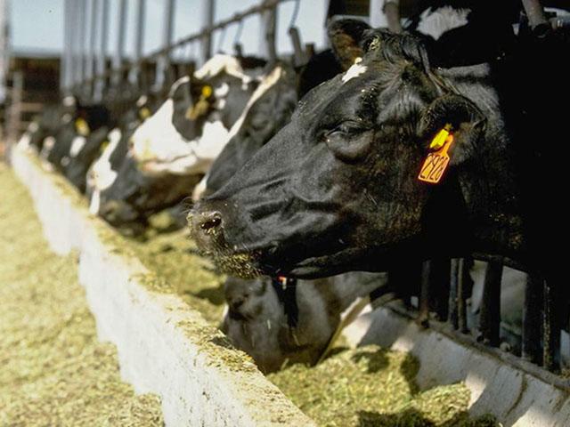 The American Feed Industry Association continues to push the Food and Drug Administration to reconsider how it is classifying gut-based feed additives. (DTN/Progressive Farmer file photo)