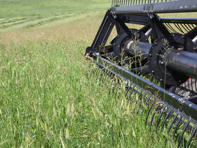 USDA will now allow producers to hay, graze or chop cover crops and still receive a full prevented planting payment. The Agency is adjusting its 