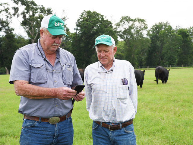 Lynn Brewer (right) manages Henry Griffin's purebred Angus herd today, relying on practices that have proven their value over the years. (DTN\Progressive Farmer photo by Becky Mills)
