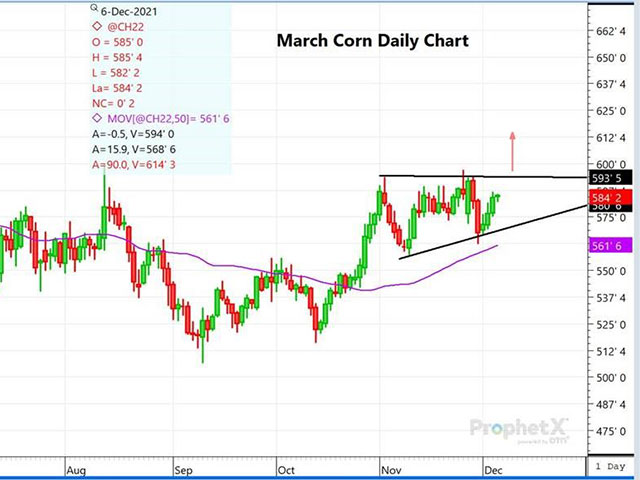 This is a daily chart of March corn, which seems to show an ascending triangle chart formation -- typically a bullish continuation pattern in an uptrend.  