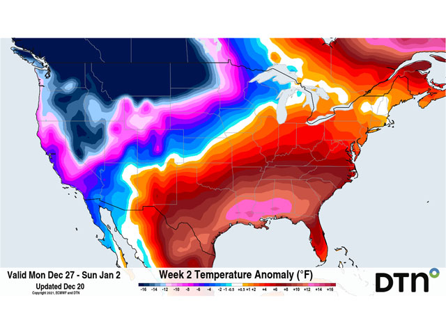Cold weather will build into North America during the next two weeks as the polar vortex gets stuck across the continent. Meanwhile, a ridge in the southern U.S. will do its best to repel the cold. (DTN graphic)