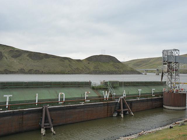 A barge is loaded with wheat on April 18 at Columbia Grain&#039;s Snake River terminal called Central Ferry in southeastern Washington state between the last two dams on the lower Snake River -- the Little Goose Dam and the Lower Granite Dam. There are 13 grain elevators along the lower Snake River in southeast Washington state that ship roughly 100 million bushels of wheat annually to primarily Pacific Northwest export terminals. The debate over removing the four dams is one of the biggest controversies in the region. (DTN photo by Chris Clayton)