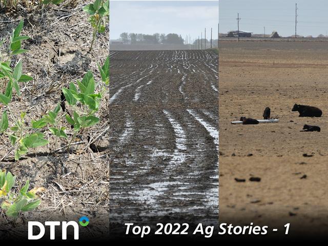 From flooding to drought, La Nina was in control of the weather for 2022. (DTN file photos by Pamela Smith, Russ Quinn and Chris Clayton)