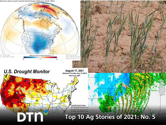 A cold plunge in February (top left, NOAA graphic), drought across the West and Northern Plains (bottom left, National Drought Mitigation Center graphic) that led to poor conditions for spring wheat (upper right, DTN file photo taken by Elaine Shein), and rare severe weather in December (bottom right, DTN graphic) highlight some of the major weather events that occurred in 2021. (DTN photo collage by Anthony Greder)