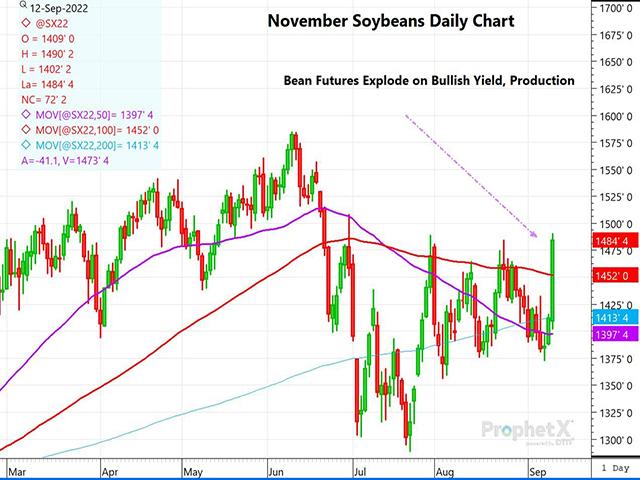 This is a daily chart of November soybeans, showing the sharp rally that ensued shortly after the September report release, which accelerated by the end of the day. (DTN ProphetX chart)