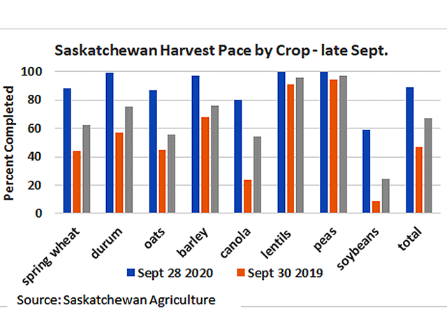 The blue bars show the current pace of the Saskatchewan harvest by crop, when compared to last year's pace as of late-September (brown bars) and the five-year average (grey bars). Looking at the largest crops, spring wheat is 88% harvested and canola is 80% harvested as of Sept. 30. (DTN graphic by Cliff Jamieson)