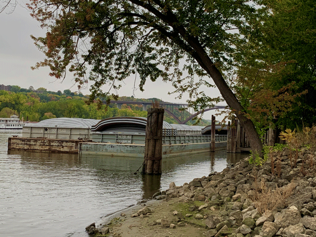 Shorelines have been appearing along many parts of the Mississippi River as water levels have been falling during the past few months. The pylons in this picture on the Mississippi River in downtown St. Paul normally have water covering up to near the second ring from the top, and it is unusual to see that sandy shoreline. The water level there was at 3.18 feet, and for comparison, action stage is at 10 feet and minor flood stage is 14 feet. (DTN photo by Mary Kennedy)