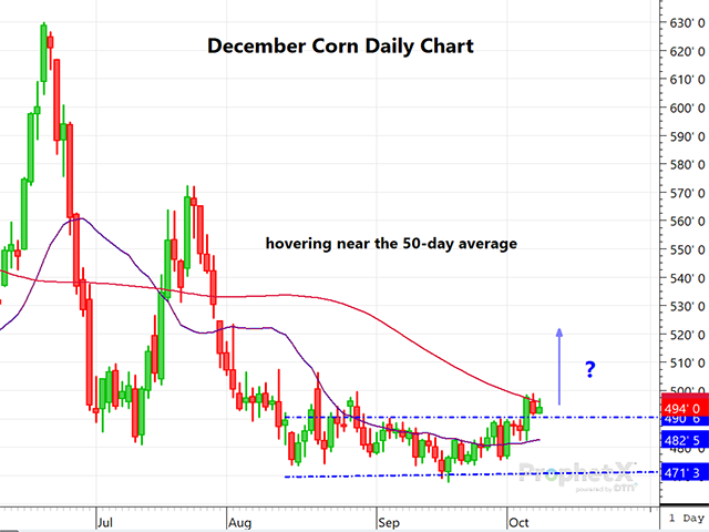 The December corn daily chart shows corn last week broke out above the high end of a 7-week range. But can it remain above that in the face of a more bearish fundamental outlook? (DTN ProphetX chart)