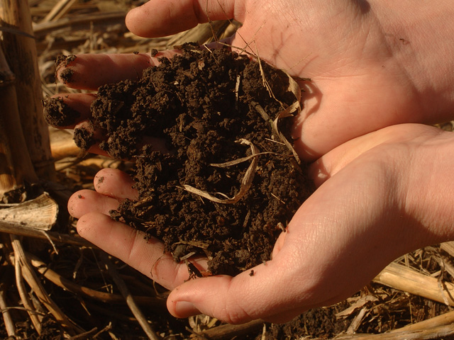 An alliance of farm, food and environmental groups on Tuesday proposed policy strategies for USDA and other federal agencies to help support farmers and livestock producers reduce greenhouse gas emissions, such as promoting ways to sequester carbon in the soil. (DTN file photo) 