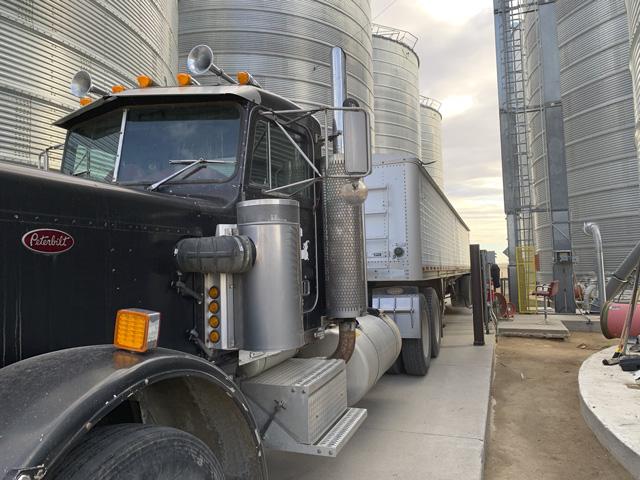 View from the Cab farmer Marc Arnusch hauled milo to a local elevator this past week. The Colorado farmer grew it for the first time this year. (Photo courtesy of Marc Arnusch)