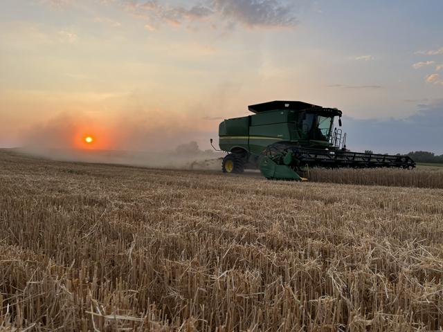 Wheat harvest is underway on Zachary Grossman&#039;s farm near Tina, Missouri, where the drought is starting to take a firmer hold. (Photo courtesy of Zachary Grossman)