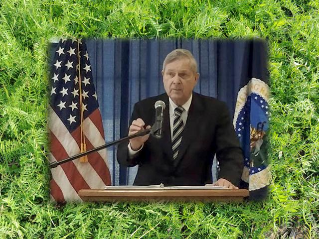U.S. Agriculture Secretary Tom Vilsack, speaking at Lincoln University in Missouri, rolled out a USDA grant and loan program that will help fund a series of climate conservation projects that may potentially include cover crops such as hairy vetch. (DTN image from livestream and file photo)