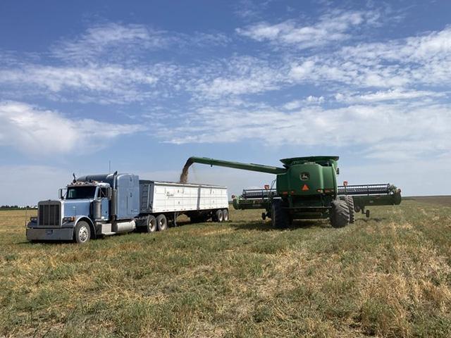 This is the last bin-full of hard red winter wheat harvest being put on the truck on July 19, according to Dan Moomaw, in western Kansas, after a late start to harvest. (Photo courtesy of Dan Moomaw)