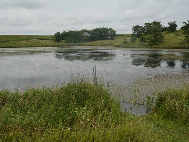 A wetlands on an Iowa farm that is not connected in a continuous surface to a larger body of water. The U.S. Supreme Court ruling redefined how EPA and the Army Corps of Engineers must restrict how they oversee wetlands around the country. (DTN file photo) 