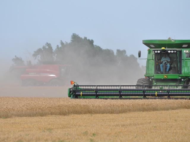USDA on Thursday in its WASDE report lowered all-wheat total production for 2021-22 to 1.697 billion bushels, a drop of nearly 50 mb, based primarily on reductions to hard red winter and soft white winter production. (DTN file photo by Katie Dehlinger)