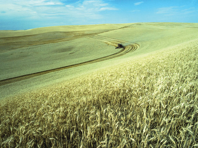 Between 2000 and 2018 Russia's ag exports increased about 16 times. Russia recently became the world's largest wheat exporter. Imagine if the country saw millions of acres more land available for agriculture. (DTN file photo)