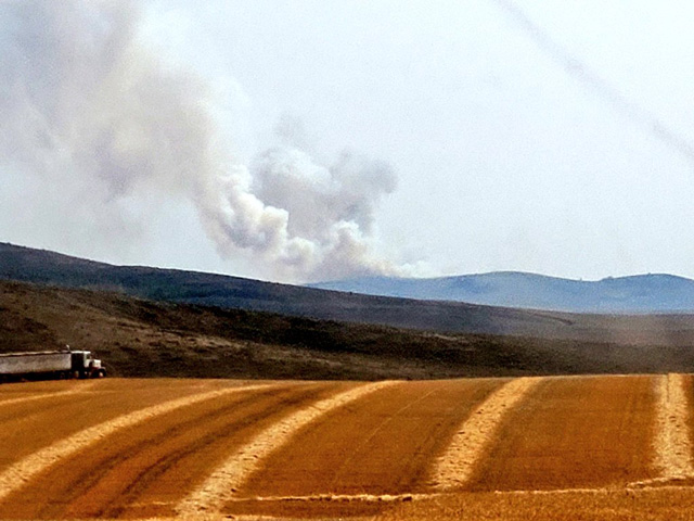 Large plumes of smoke overhang this freshly cut spring wheat field on Lakey Farms in southeastern Idaho, where widespread Western wildfires have made for a smoky harvest season. (Photo courtesy of Dan Lakey)