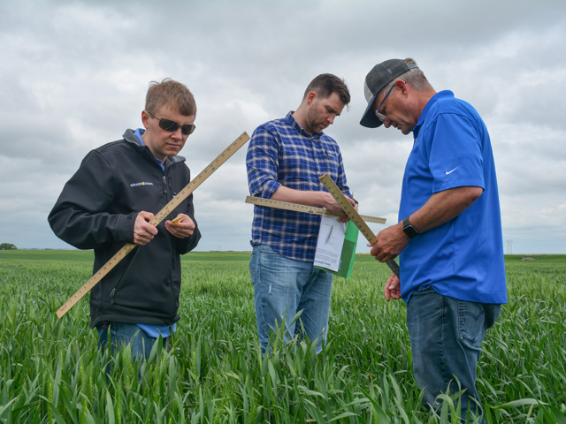 The 2021 Hard Winter Wheat Tour scouting began on Tuesday across the northern one-third of Kansas and southern Nebraska. Pictured left to right are Max Remund, quality manager with Grain Craft in Kansas City; Wade Hasenour, food and feed development manager for Buchi Corp.; and Tim Aschbrenner, director of flour quality for Grain Craft. The tour participants assessed crop size and health. (DTN photo by Matthew Wilde)