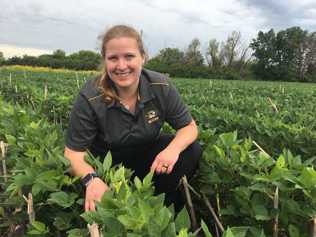 A simple soil test for soybean cyst nematode can go a long way toward managing the pest, according to Kaitlyn Bissonnette, University of Missouri plant pathologist. (DTN photo by Pamela Smith)