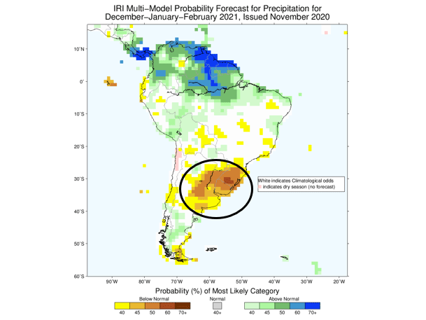 Southern Brazil and Argentina stay dry in updated climate agency forecasts through the December-to-February period -- a classic La Nina impact. (IRI graphic)