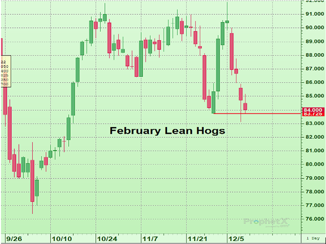 February lean hogs look prime for a retest of the October lows after taking out November lows last week. (DTN ProphetX chart)