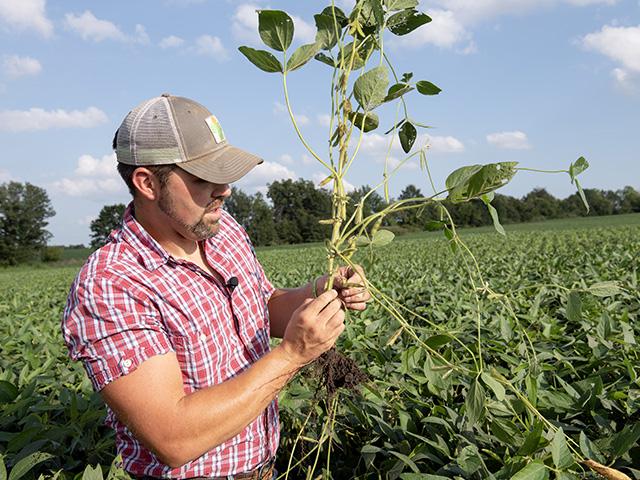 Missouri farmer Zachary Grossman does some bean counting after receiving August rains on his farm near Tina. (DTN photo by Jason Jenkins)