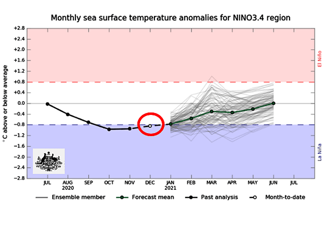 The Australia Bureau of Meteorology Pacific Ocean forecast calls for Pacific temperatures to rise above La Nina cool-water levels by mid to late January 2021. (BOM graphic)